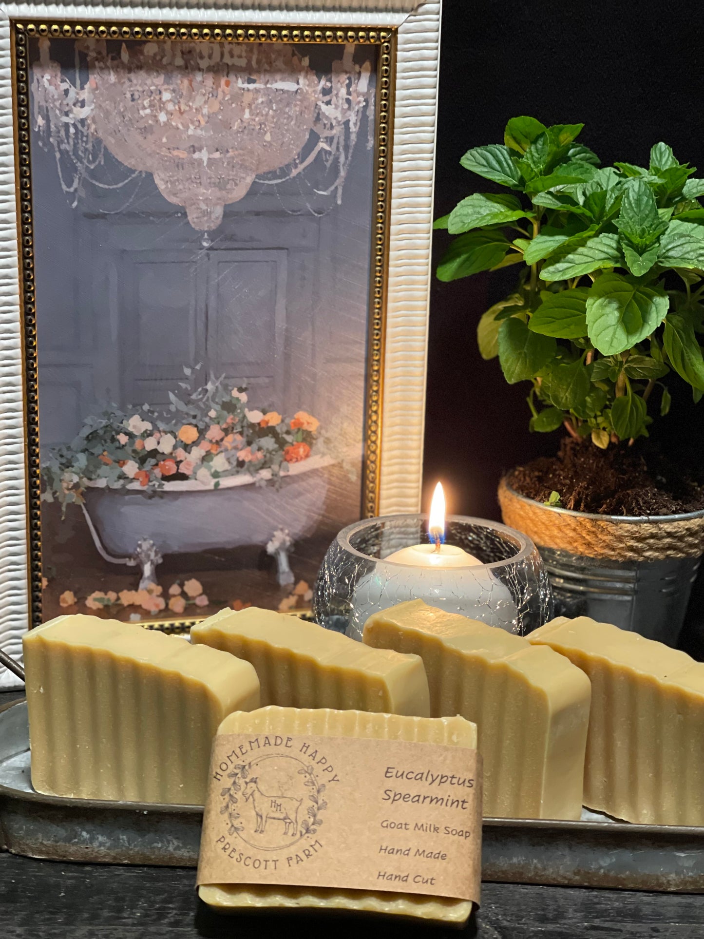 Eucalyptus Spearmint